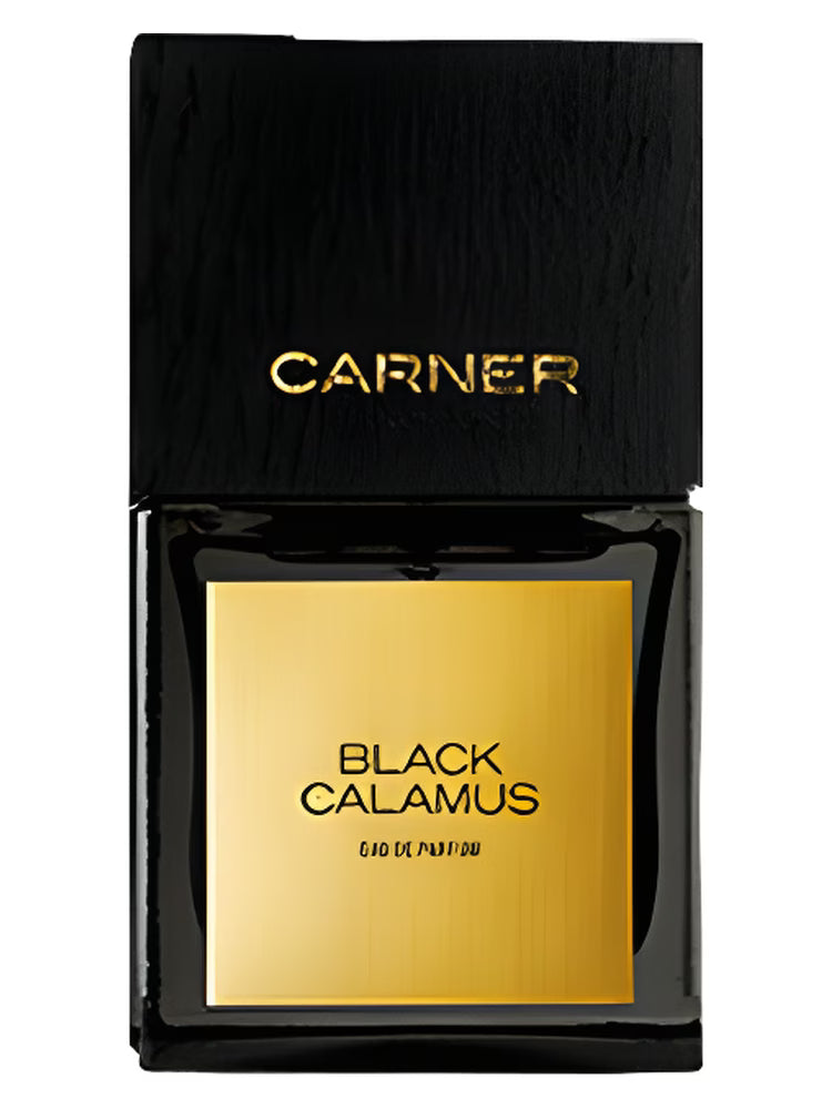 BLACK CALAMUS