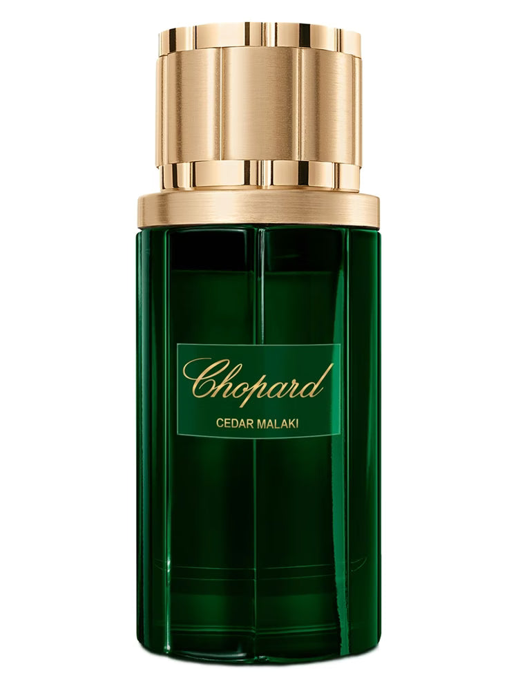 CEDAR MALAKI