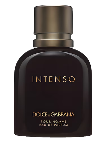 D&G Pour Homme Intenso