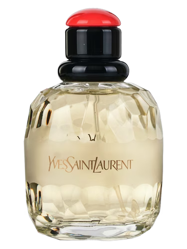 Paris YSL