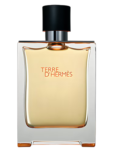 Terre d'Hermès Eau Intense Vétiver - Hermès