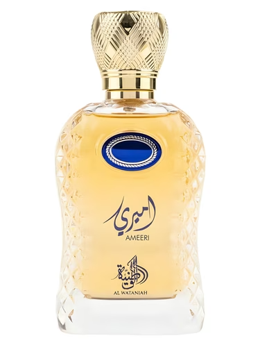 Al Ameeri